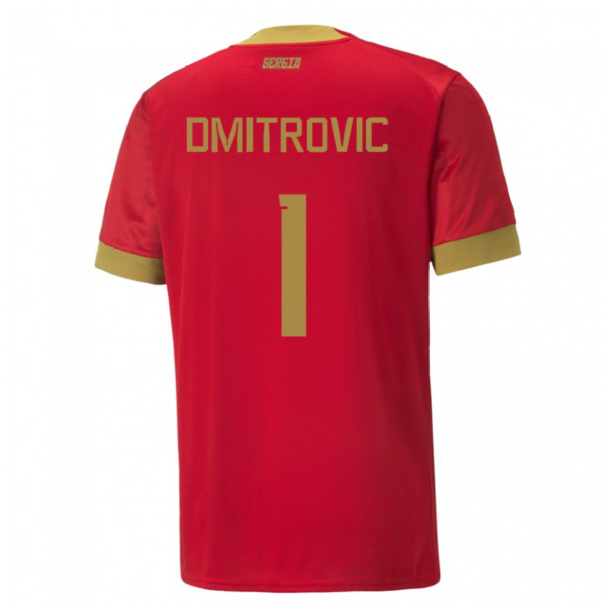 Kandiny Enfant Maillot Serbie Marko Dmitrovic #1 Rouge Tenues Domicile 22-24 T-shirt
