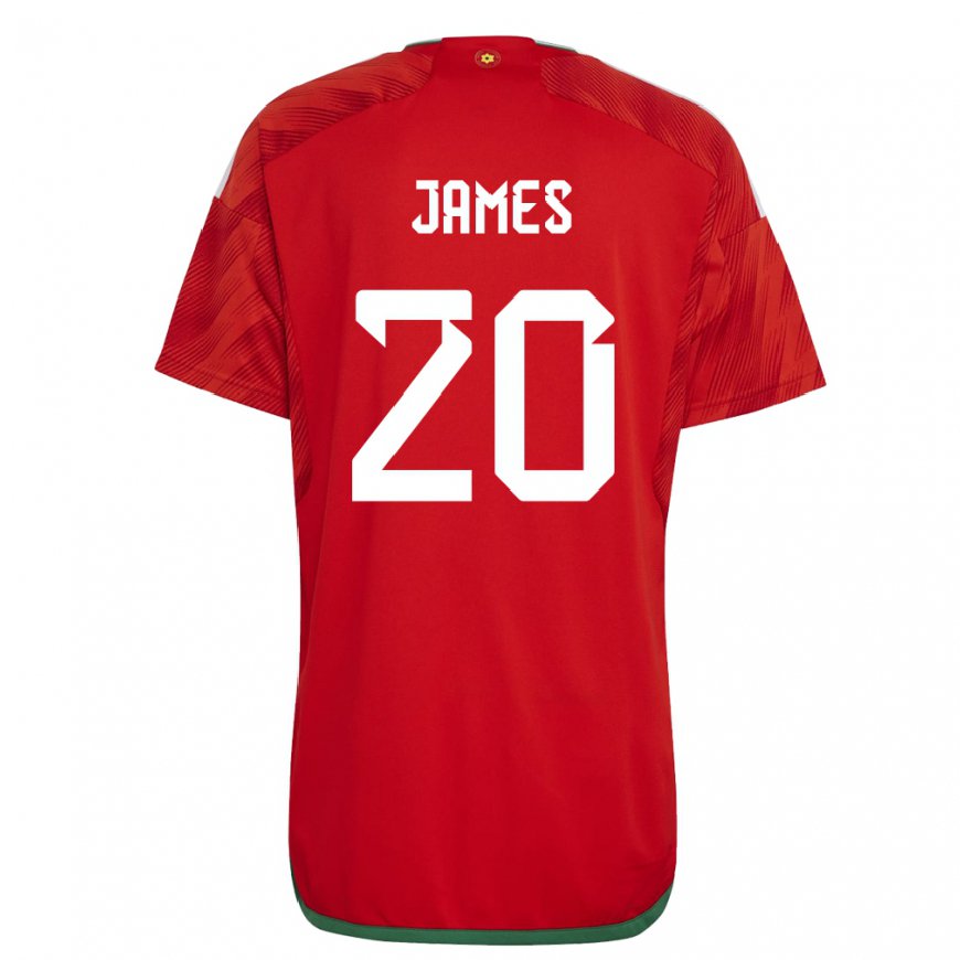 Kandiny Enfant Maillot Pays De Galles Daniel James #20 Rouge Tenues Domicile 22-24 T-shirt