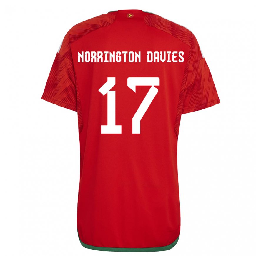 Kandiny Homme Maillot Pays De Galles Rhys Norrington Davies #17 Rouge Tenues Domicile 22-24 T-shirt