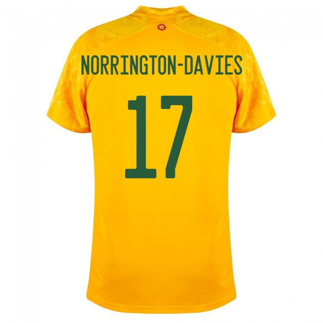 Femme Équipe du pays de Galles de football Maillot Rhys Norrington-Davies #17 Tenues Extérieur Jaune 2021