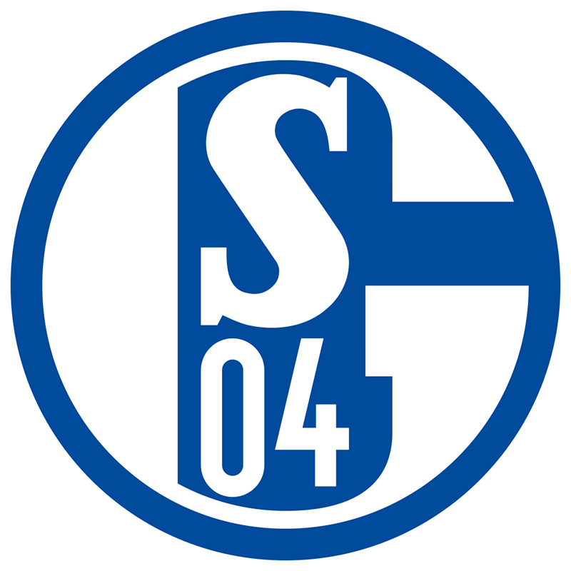 Schalke 04 Homme