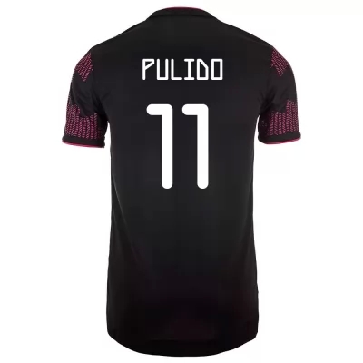 Femme Équipe du Mexique de football Maillot Alan Pulido #11 Tenues Domicile Rose Rouge 2021