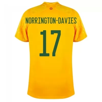 Femme Équipe du pays de Galles de football Maillot Rhys Norrington-Davies #17 Tenues Extérieur Jaune 2021