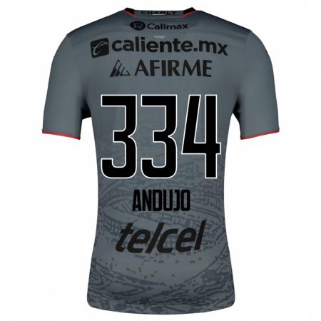 Kandiny Homme Maillot Favio Andujo #334 Gris Tenues Extérieur 2023/24 T-Shirt