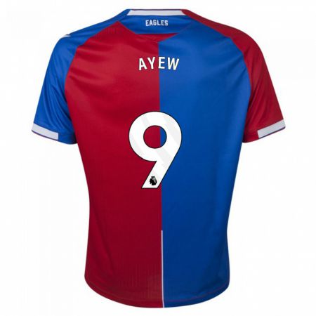 Kandiny Homme Maillot Ayew #9 Rouge Bleu Tenues Domicile 2023/24 T-Shirt
